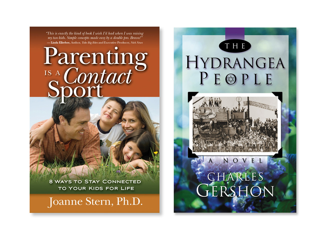 Parenting is a Contact Sport by Joanne Stern