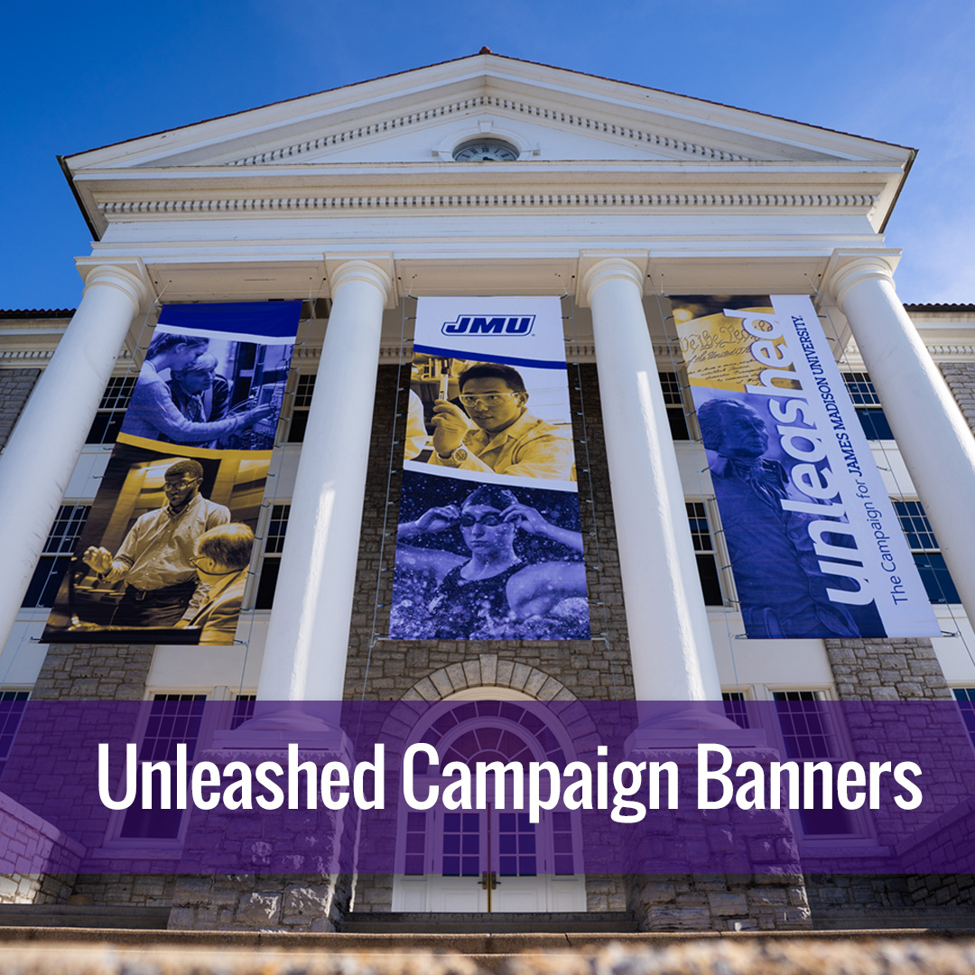 Unleashed Campaign Banners