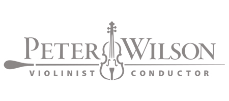 Peter Wilson Musician