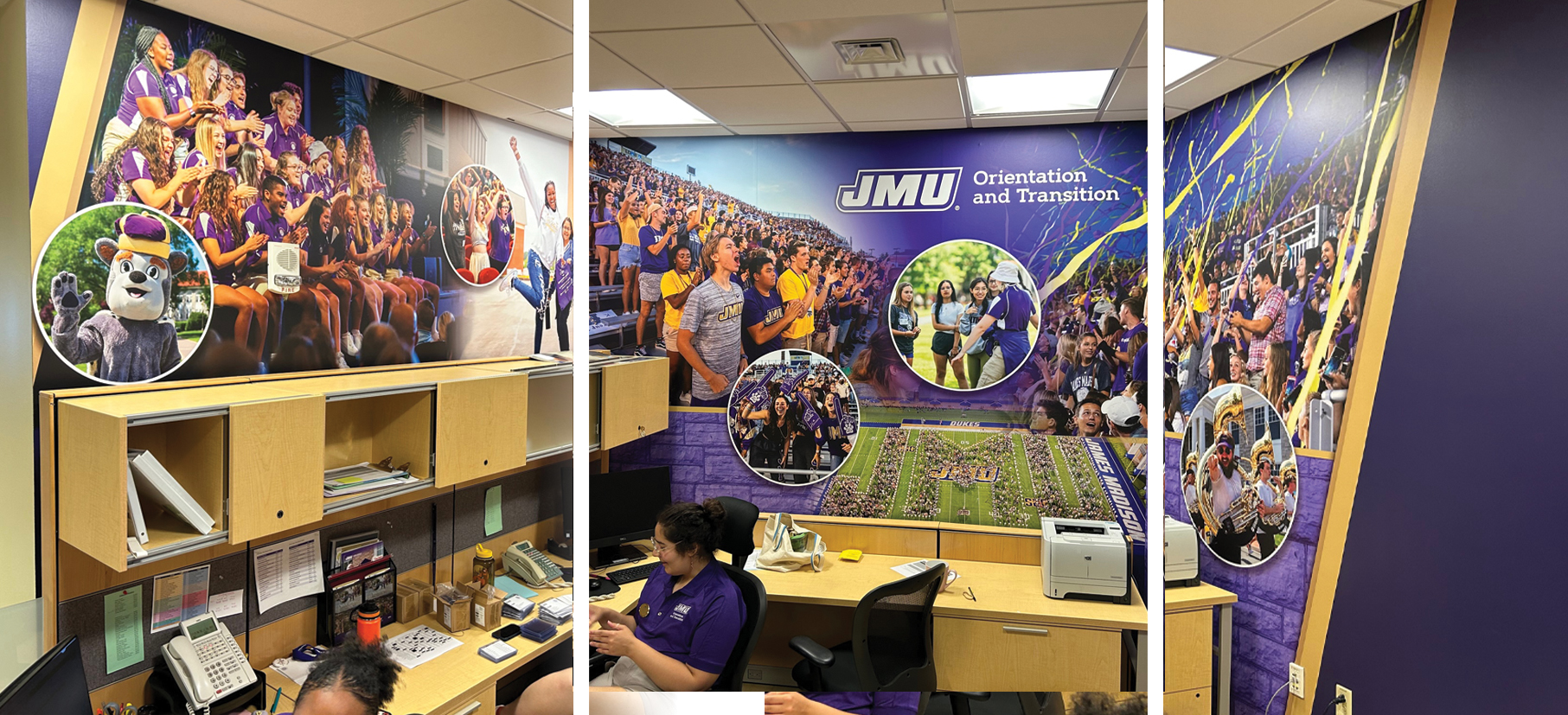 Orientation 3-wall mural